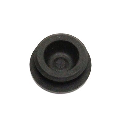 Cap Oil Plug